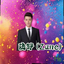 陆铮 (Zane)