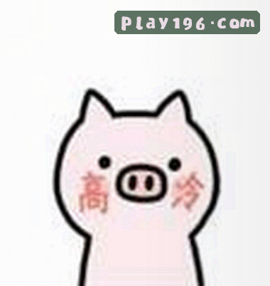 深夜盯盘选手·二狗
